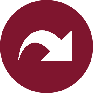 icon link