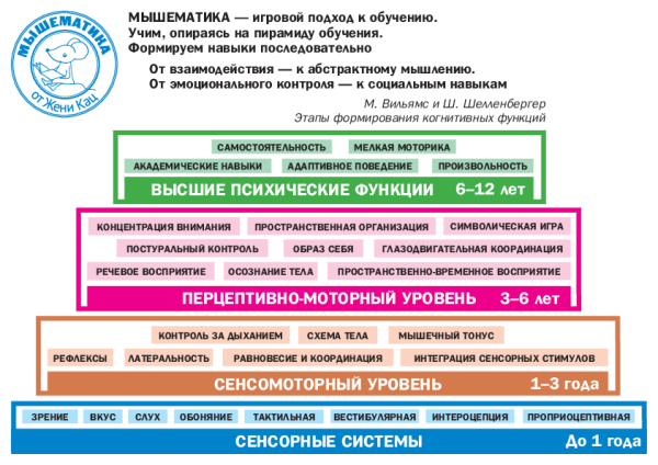 Пирамида когнитивных навыков Уильямса и Шелленбергера (PDF)